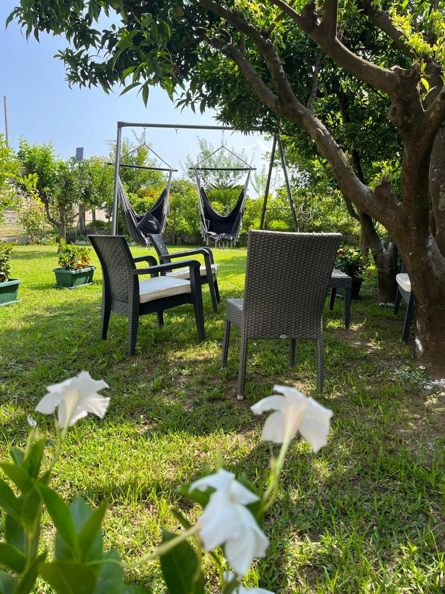 B&B Da Francesco Paestum Extérieur photo